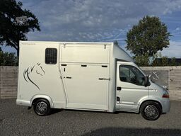 Renault Master | HORSETRUCK | TVW 2021 | CLASSIC 3XL | ...