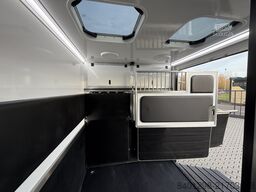 MAN TGE 3.160 KRISMAR Pferdetransporter