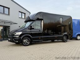 MAN TGE 3.160 KRISMAR Pferdetransporter