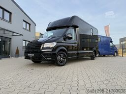 MAN TGE 3.160 KRISMAR Pferdetransporter