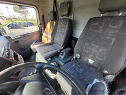 Anhänger Braune Anhänger Braune Anhänger Braune