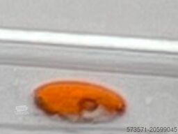 Etrusco T 6.9 SF (2022) – Ford Schaltgetriebe | Diesel | Teilintegriert