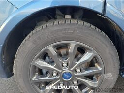 FORD ford tourneo custom