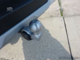 FORD Nugget Active 320 L2 AWD Matrix Stndhz AHK