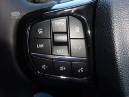 FORD Nugget Active 320 L2 AWD Matrix Stndhz AHK