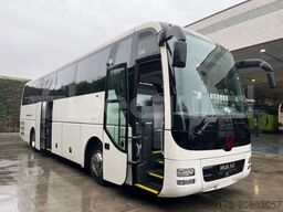 MAN Lion's Coach