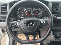 MAN TGE 3.180 LADEBORDWAND PALFINGER