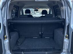 FIAT QUBO