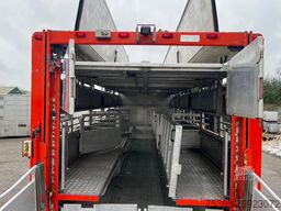 DAF XF 105 Berdex 1/2/3/4 livestock veewagen type2