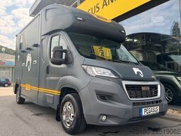 PEUGEOT Boxer MSG 2 Pferdetransporter 16.000 km 3,5t.