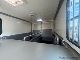 PEUGEOT Boxer MSG 2 Pferdetransporter 16.000 km 3,5t.
