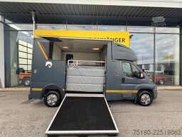 PEUGEOT Boxer MSG 2 Pferdetransporter 16.000 km 3,5t.