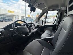 PEUGEOT Boxer MSG 2 Pferdetransporter 16.000 km 3,5t.