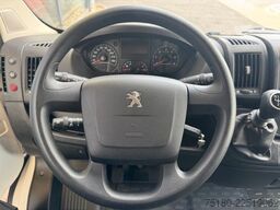 PEUGEOT Boxer MSG 2 Pferdetransporter 16.000 km 3,5t.