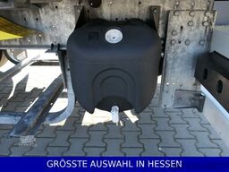 SCHMITZ CARGOBULL Coilmulde 7,20m Liftachse Palettenkasten¤439.-mt