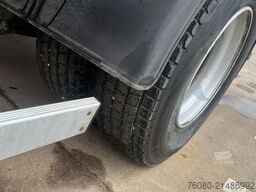 Scania 113 - 320 (MANUAL PUMP / POMPE MANUELLE / TRES ...