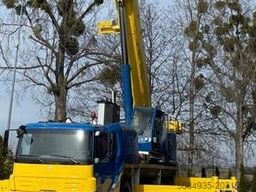 Grove GMK 5095