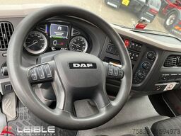 DAF LF 260 FA *BÄR-LBW*Koffer 8,75m Innenlänge*