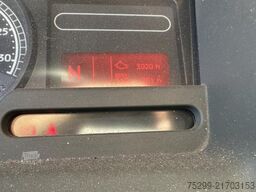 Renault Midlum 300 4x4 Winterdienst / Swiss-Vehicle