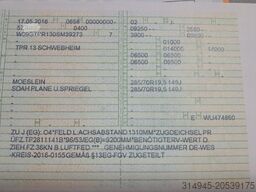 Möslein TPR 13 Schwebheim