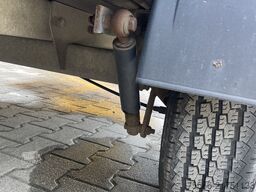 SARIS Woody FW 150 Einachser Tieflader Plane