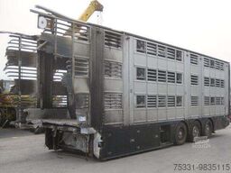PEZZIOLI SBA63 livestock semi trailer