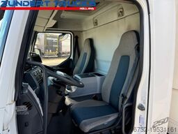 Volvo FL 250 CARRIER EASY COLD, PALFINGER TAILLIFT