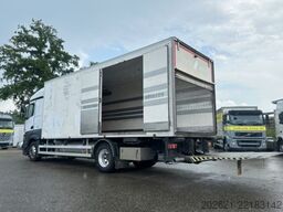 MERCEDES-BENZ Actros 1842 4x2 Kühler Gas