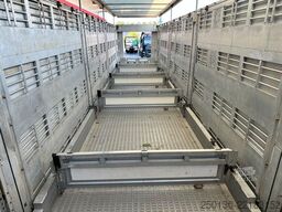 Finkl SAV35 4.Stock Hubdach Lift Tränke Tridec