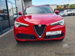 ALFA ROMEO Stelvio 2.2D 16V Business AT8-Q4 - ASSISTS - AHK