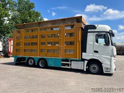 Mercedes-Benz Actros 2851 Finkl Livestock 1/2/3/4