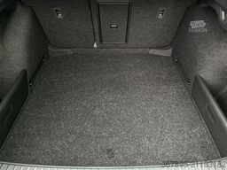 SKODA 2.0TSi RS DSG 180kW NAVI DCC STHZ eHK LM19