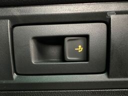 SKODA 2.0TSi RS DSG 180kW NAVI DCC STHZ eHK LM19