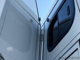 RENAULT Master 160 Paragan Pferde Wohnabteil