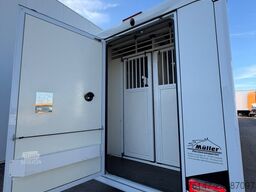 RENAULT Master 160 Paragan Pferde Wohnabteil