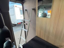 RENAULT Master 160 Paragan Pferde Wohnabteil