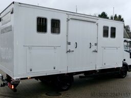 IVECO 80E15 Pferdetransport 4 Pferde 4(Grün) HU neu
