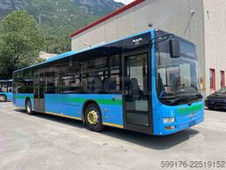 Man A20