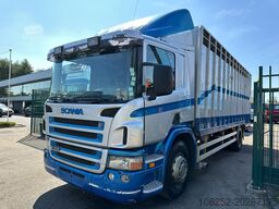 Scania P310 4x2 LIVESTOCK / VEEWAGEN / TIERTRANSPORT /...