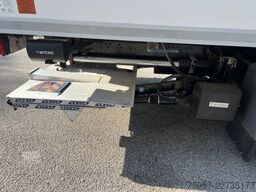 MAN TGS 26.360