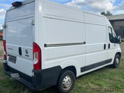 Fiat DUCATO Kühlung Dometic . 3.500 kg