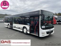 MAN A37 Lion?s City/Euro6/Klima/A20/A21/O 530/Citaro