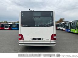MAN A37 Lion?s City/Euro6/Klima/A20/A21/O 530/Citaro