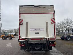 SCANIA P 410 ROHR Aufbau DHOLLANDIA LBW
