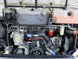 Iveco Evadys 13m / Rear door / NEW!!