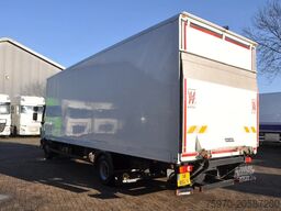 DAF LF 230 4X2 2022 246.162km SAXAS + DHOLLANDIA