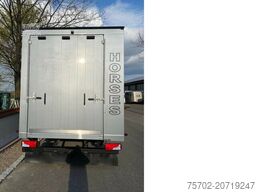 MAN TGL 8180 Gimmel 1-4 Pferde Wohnmobilzulassung