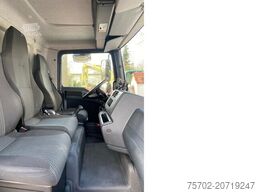 MAN TGL 8180 Gimmel 1-4 Pferde Wohnmobilzulassung