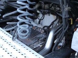 MAN TGX 480 XXL Retarder Standklima Xenon VIN:HM