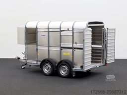 Ifor Williams TA5|10x6|RAMPE-/TÜR-KOMBI 311X156X183cm